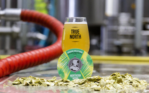 2019 07 12 Green Heathen Images