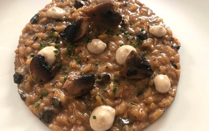 2019 10 29 Best Dishes Tast Bolets