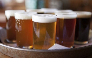 Beer 564F