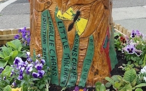 20170703 St Johns Road Waterloo23