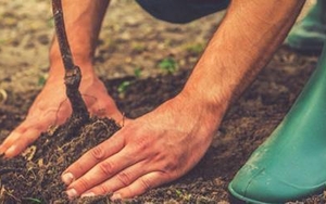 20160301 Bettermcr 1