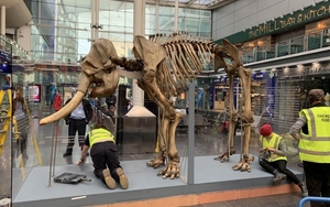 2019 05 06 Maharajah Credit University Of Manchester