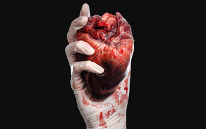 2019 01 22 Anatomy Lab Live