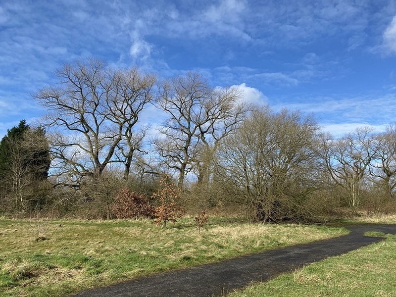 23 April Ryebank Fields In Chorlton Next To Longford Park