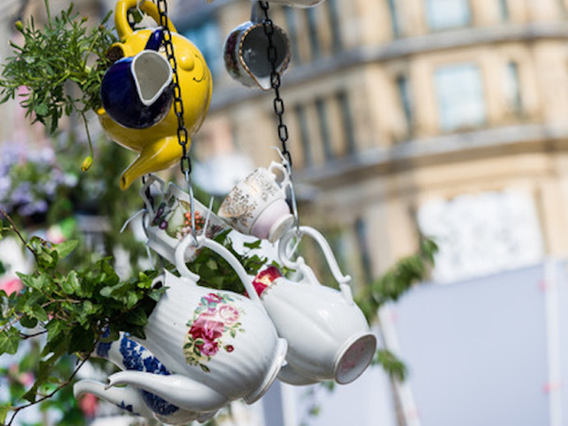 Manchester Flower Show Teapot Display