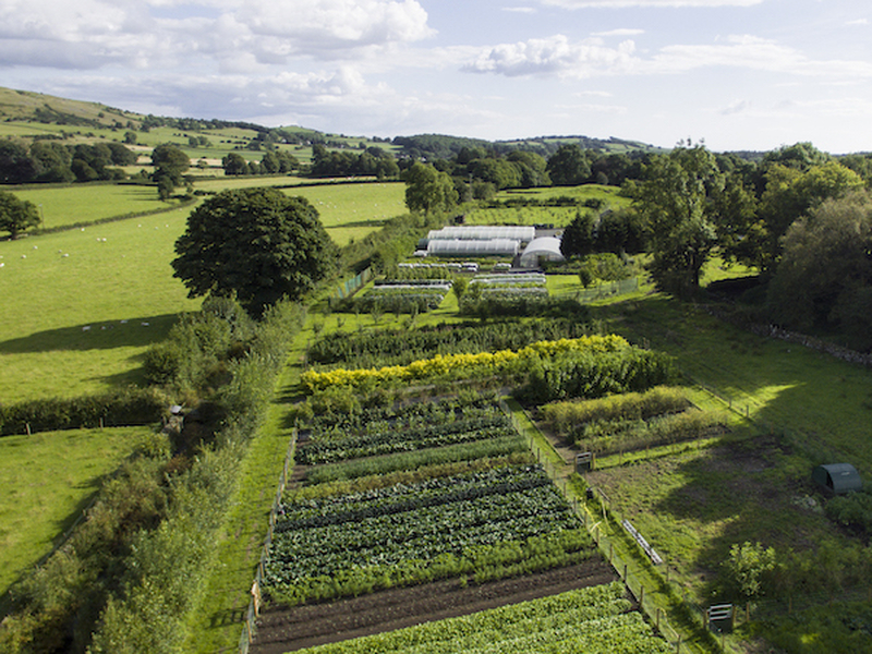 A Birds Eye View Of Organic Produce Growing At Simon Rogan Our Farm Which Serves His Restaurant Lenclume