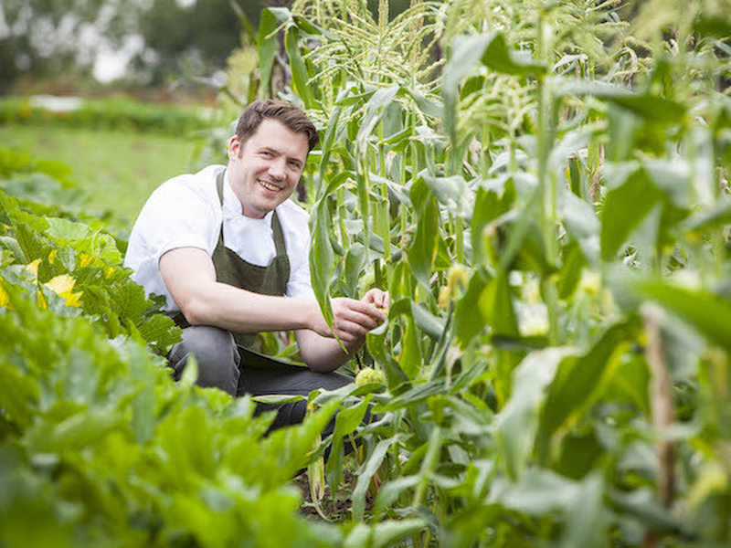 Michelin Star Chef Tommy Banks Forages For Ingredients Near His Restaurant The Black Swan At Oldstead