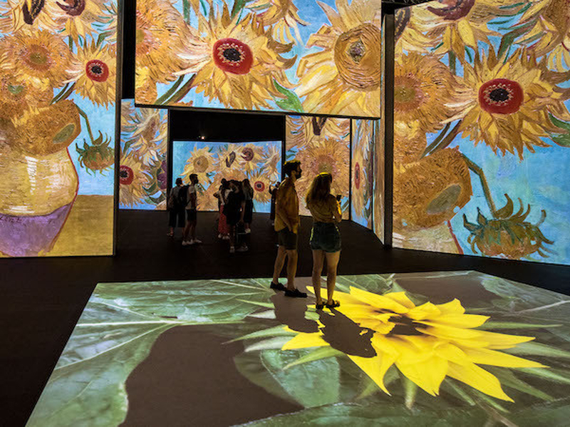 People Enjoying Sunflowers At Interactive Van Gogh Sensory Experience Coming To Media City Salford Richard Blake