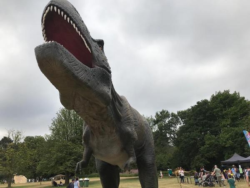 A Big Fake Dinosaur In Wythenshawe Park As Part Of Childs Adventure Space Dino Kingdom