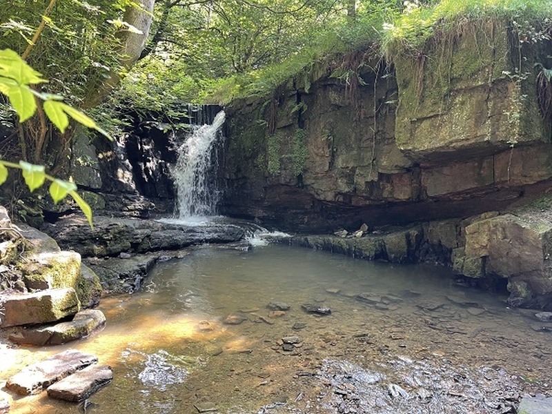 Dearden Wood And The Arthopod Edenfield 7