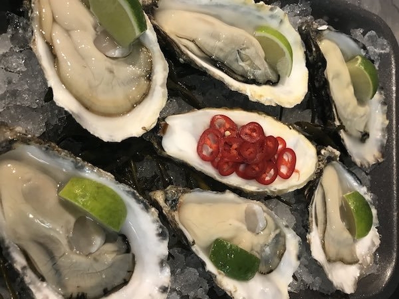 Out Of The Blue Oysters