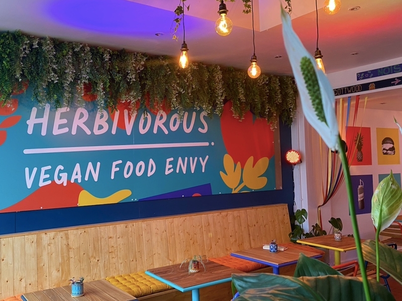 Herbivorous Branding And Interiors