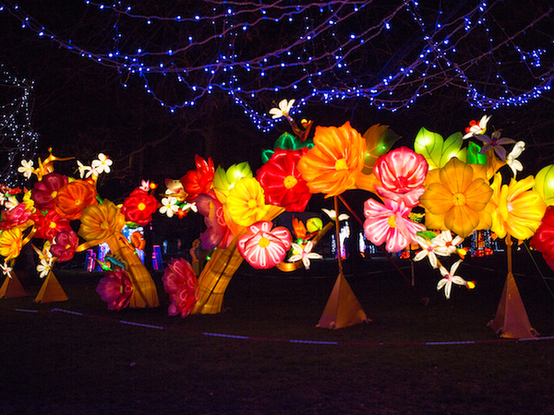 Illuminated Flowers At Lightopia Manchester 2021