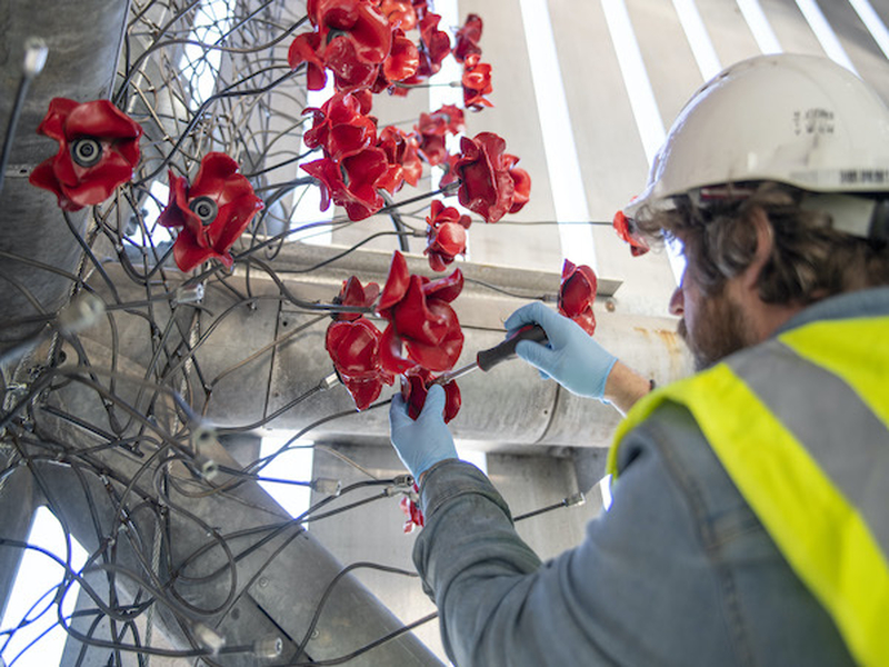Poppies Will Be A Permanent Exhibition At Iwm North At Salford Quays In Manchester