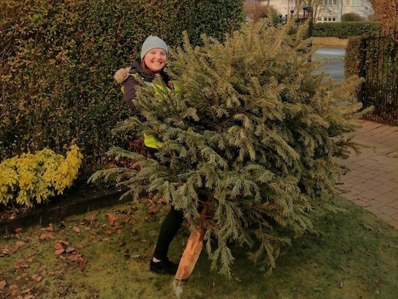 St Gemmas Hospic Tree Collection Service