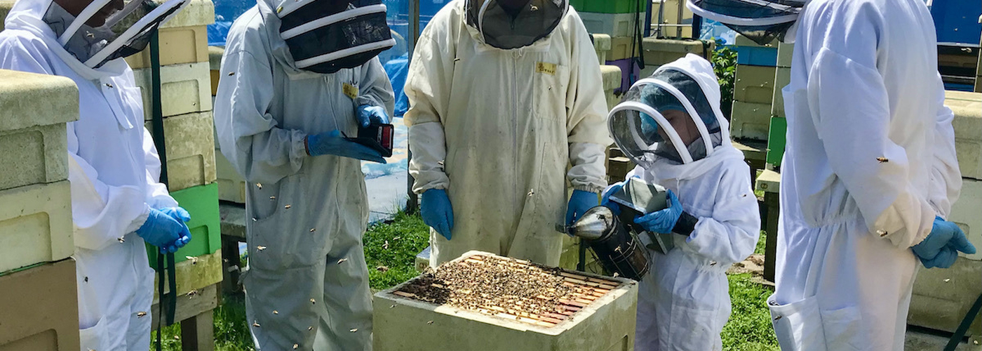 Beekeeping Beeshack Liverpool Honey Bees Course