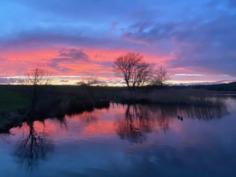Sunset dippers at Pickmere Lake