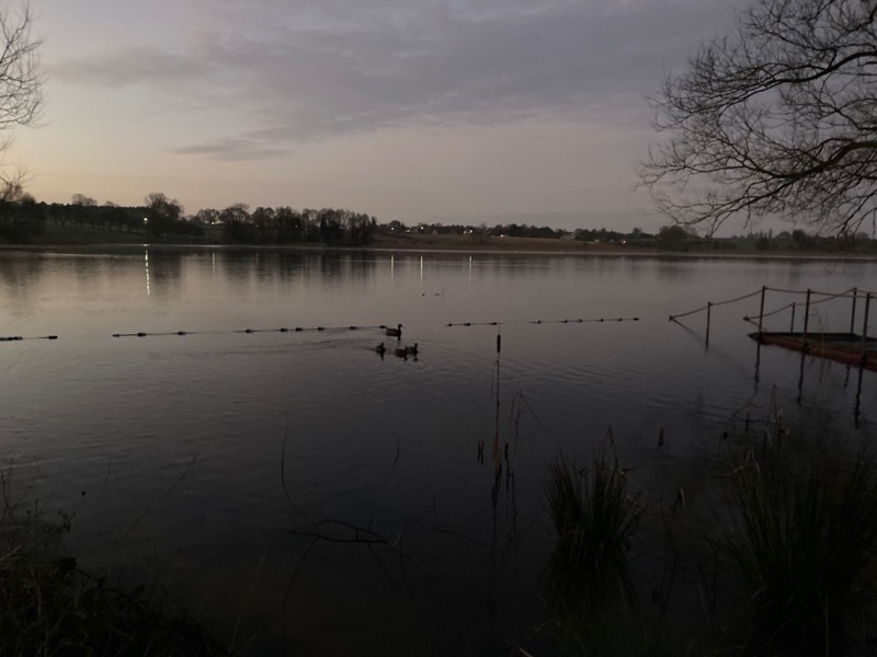 Pickmere Lake at dawn