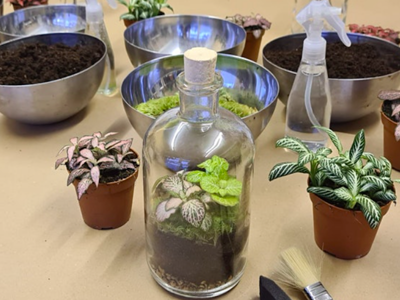 Bottle Terrarium Workshop At Manchester Craft And Design Centre Things To Do April 2022