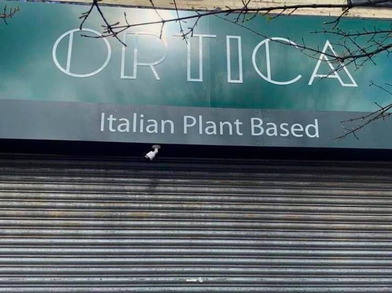 Ortic Italian Plant Based Restaurant In Urmston