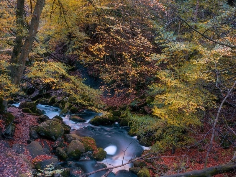 Padley Gorge in autumn