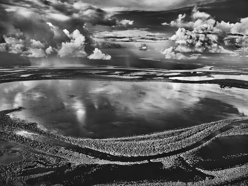 Îles Anavilhanas Îles Boisées Du Río Negro État D’ Amazonas Brésil 2009 © Sebastião Salgado