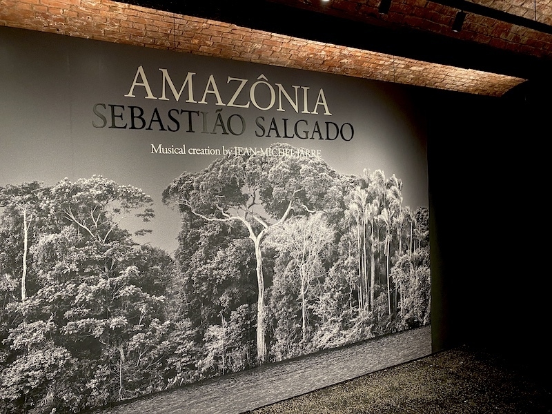 Amazonia Exhibition Science And Industry Museum 2022