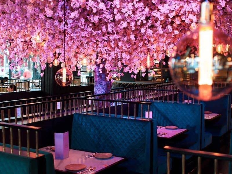 Pink Interiors At Oodles N Oodles An Asian Fusion Restaurant On Wilmslow Road In Manchester