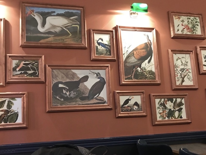 Royal Institution Liverpool Colquitt Street Bar Birds