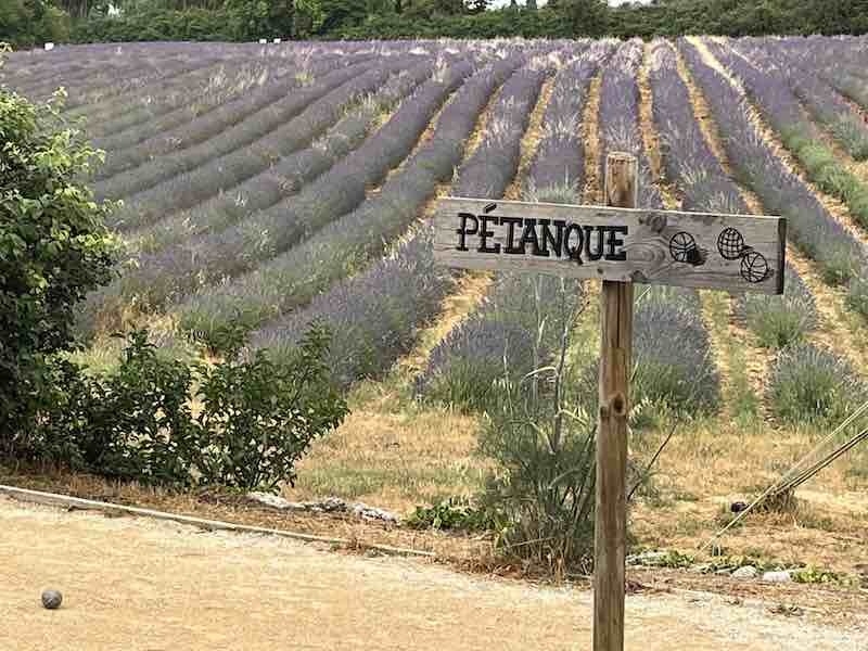 Aix Lavender Farm