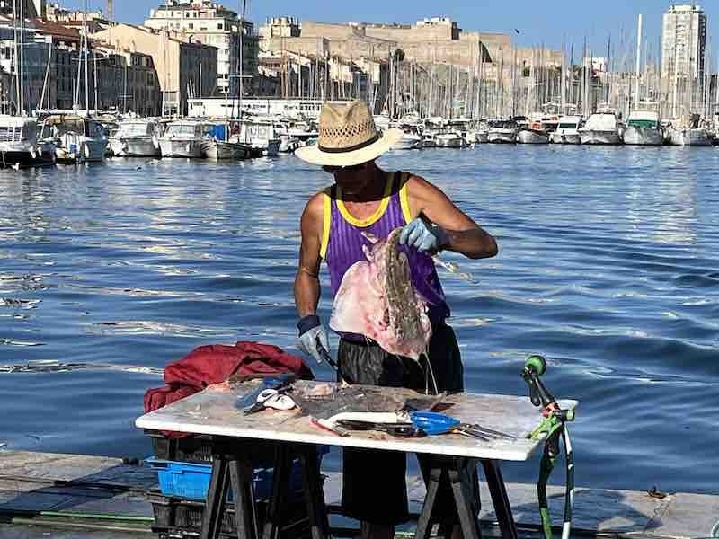 Marseille Fish Market Vieux Port