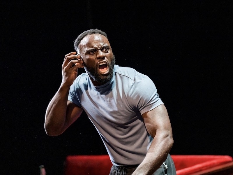 Othello Frantic Assembly Liverpool Playhouse Tickets