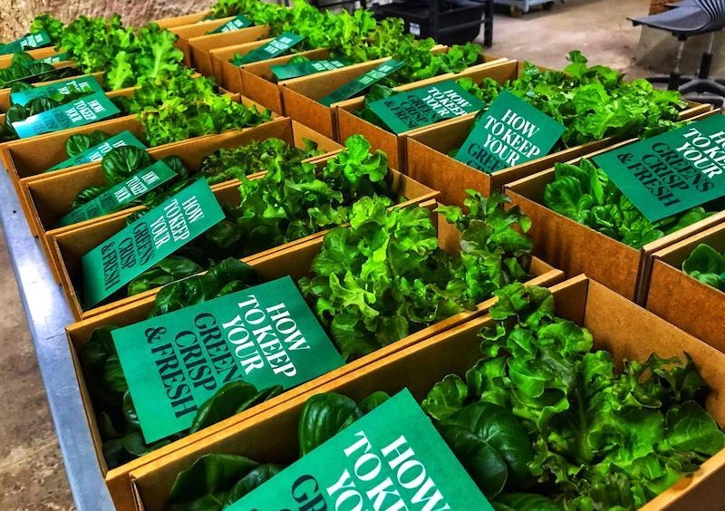 Farm Urban Greens For Good Liverpool Donation Boxes Ready To Go