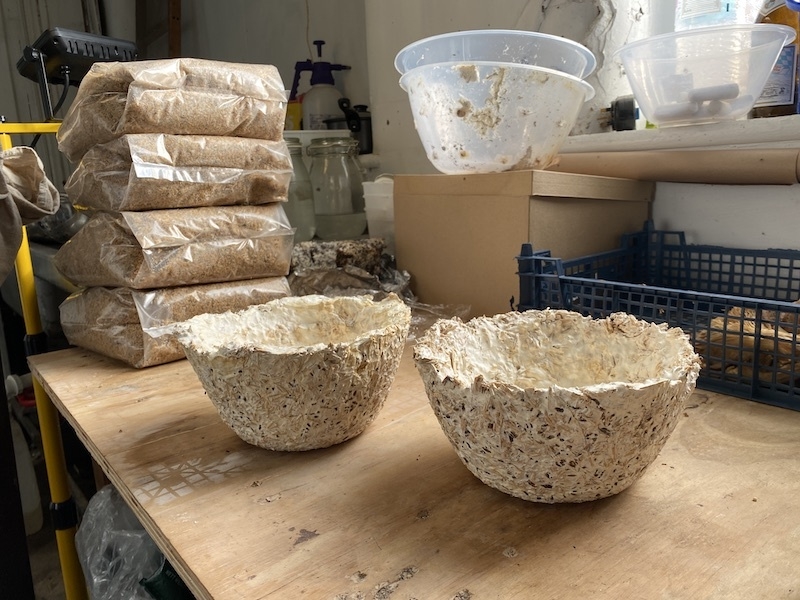 Bowls Made From Mycelium At Stockport Fungi In Manchester
