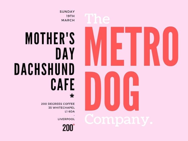 Mothers Day Liverpool 2023 200 Degrees Coffee Pop Up Dog Cafe