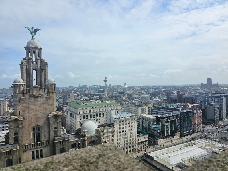 20230509 Zoom Of Other Liver Building And City