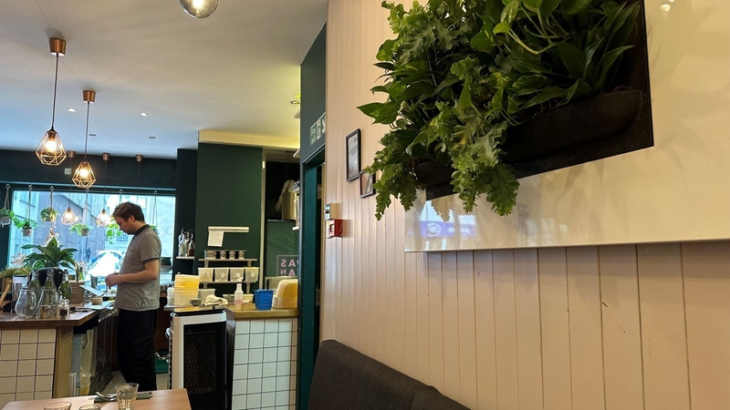 Pastan Vegan Restaurant