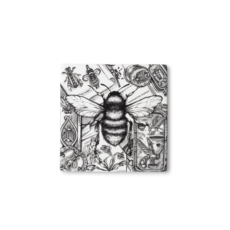 2022 12 04 Mm White Background Tiles Top Down Bee
