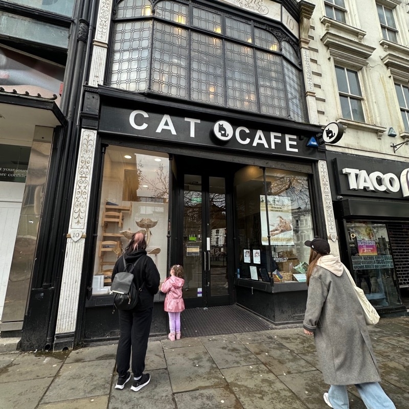 2024 04 19 Cat Cafe Liv