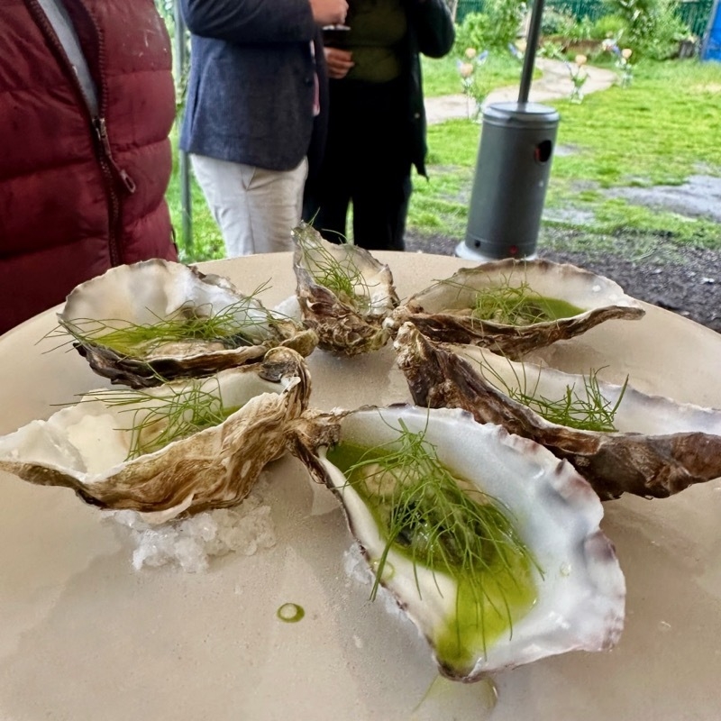 2024 05 23 Treehouse Oysters