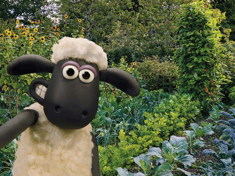 2024 07 23 Sean The Sheep At Rhs Bridgewater