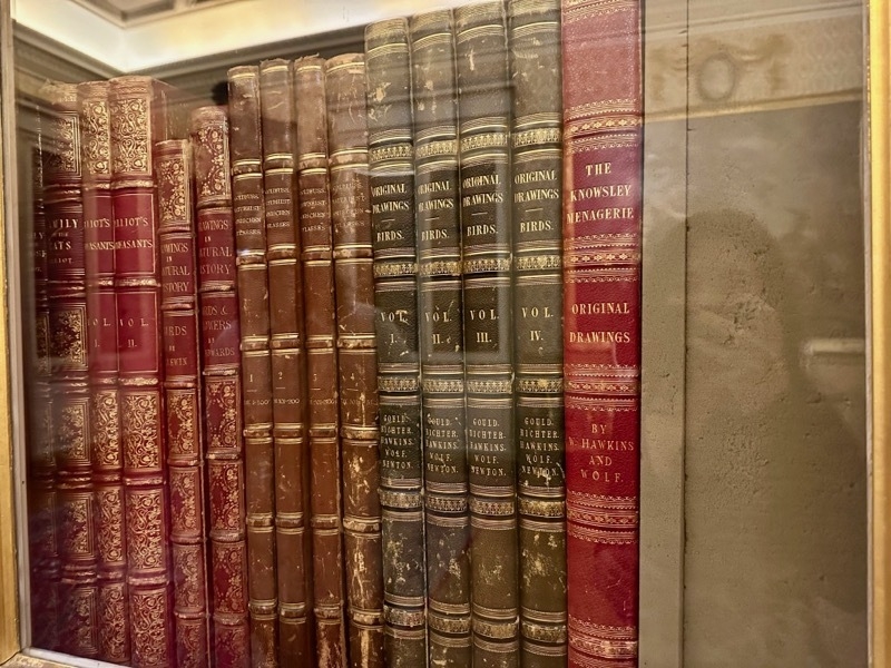 2024 08 12 Knowsley Hall Volumes