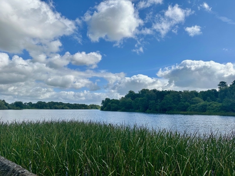 2024 08 12 Knowsley Hall Lake