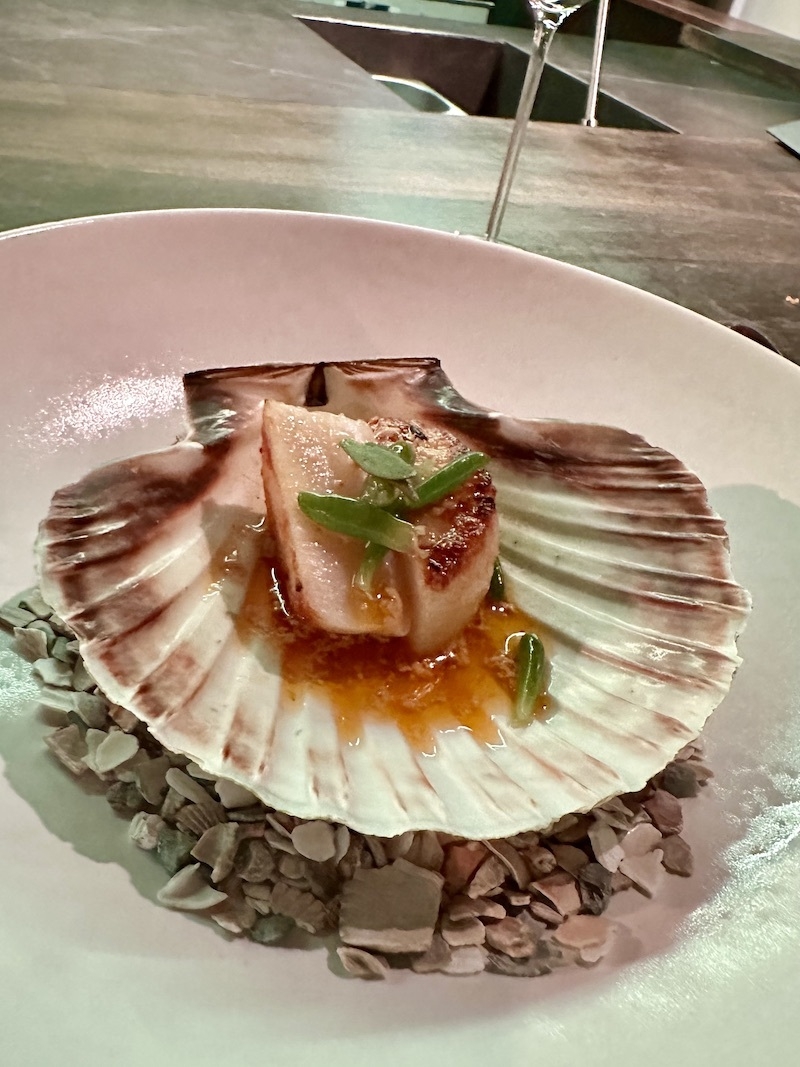 2024 10 22 Kaji Musu Orkney Scallop