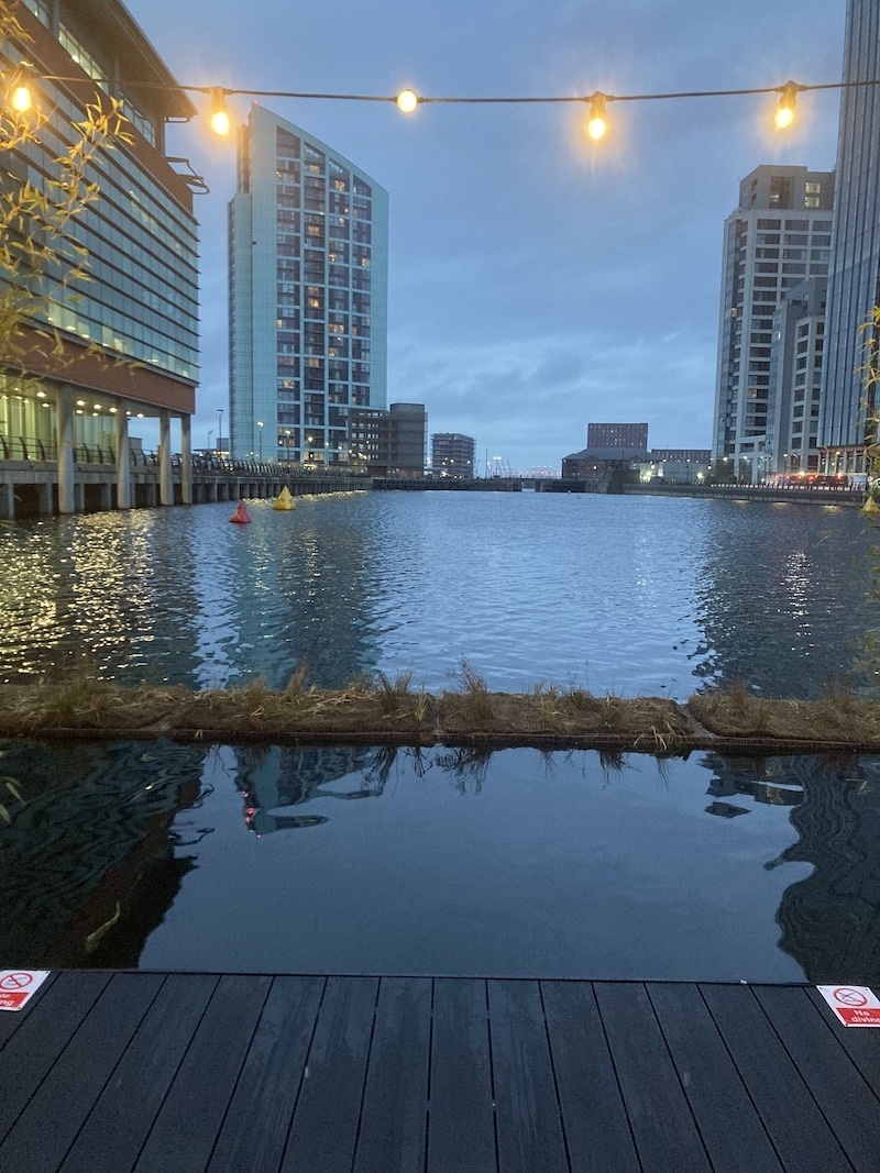 2024 12 05 Wyld Sauna Visit Princes Dock