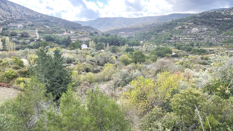 2025 08 20 Cyprus Trip 3