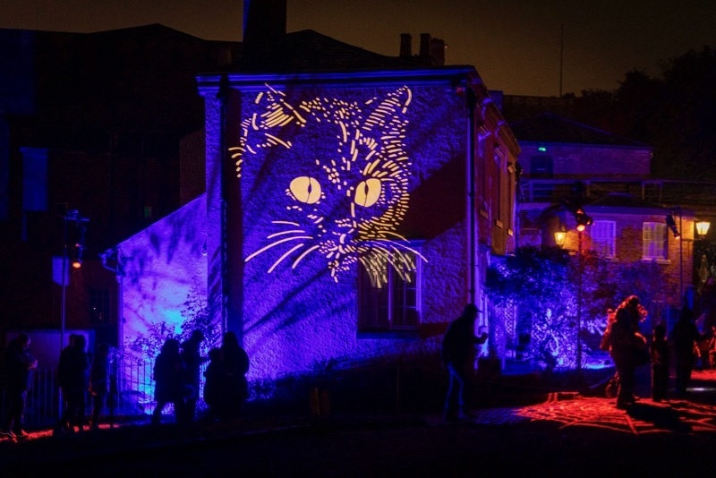 2025 09 05 Quarry Bank Cat