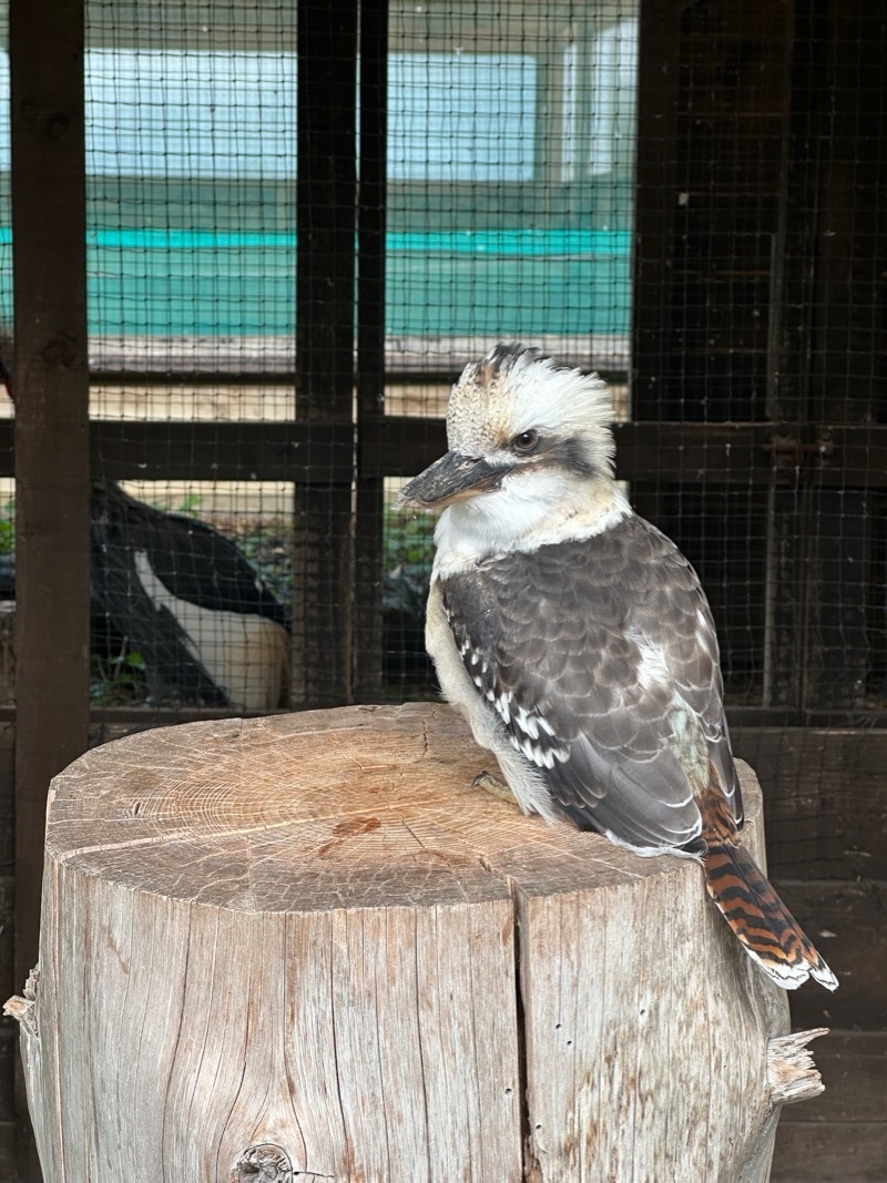 2025 09 21 Lake District Wildlife Park