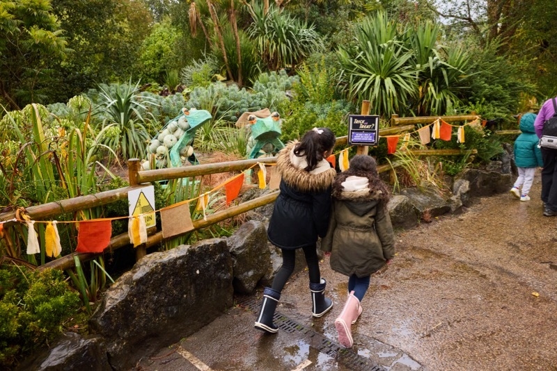 2025 10 09 A Giant Pumpkin Trail And Mystical Beasts Will Take Over Chester Zoo This Halloween 4