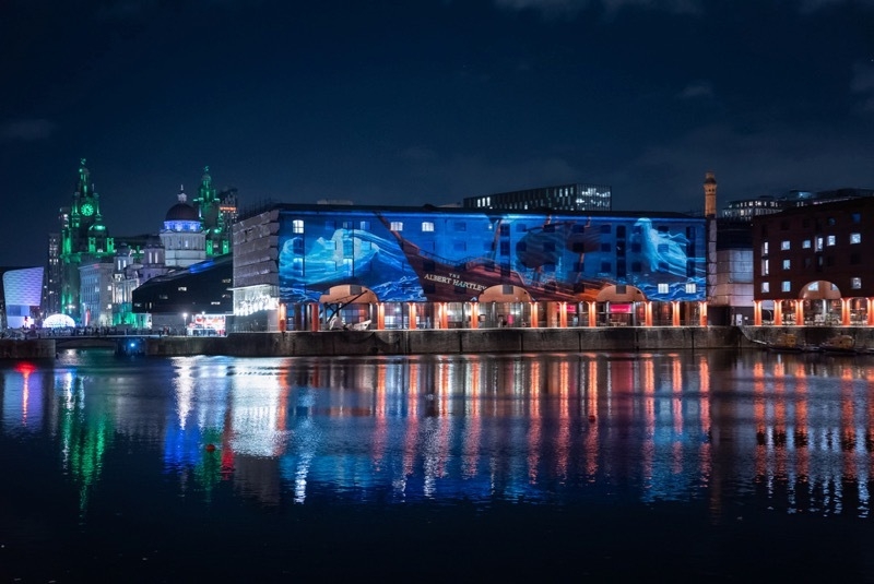 2025 11 10 Halloween Projection Rad